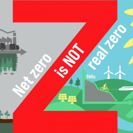 Net Zero